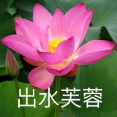 地毯清洁吸尘器手游下载