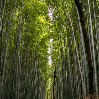 米加小镇护理生活游戏下载